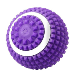 Electric Massage Ball